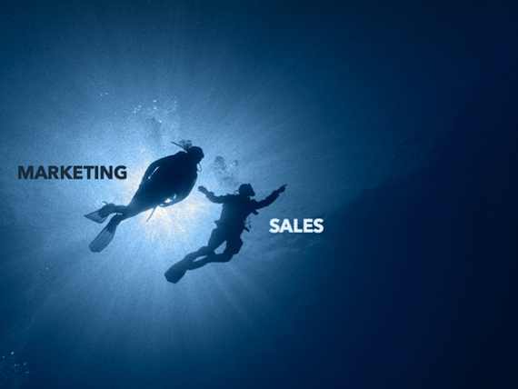 marketing en sales in B2B als duikbuddies